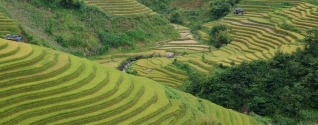 Cycling north Vietnam on the slow road 279