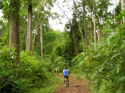 Cycling Cat Tien national park