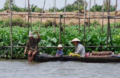 Fisherman on mekong river - Caibe floating market