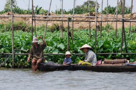 Fisherman on mekong river - Caibe floating market