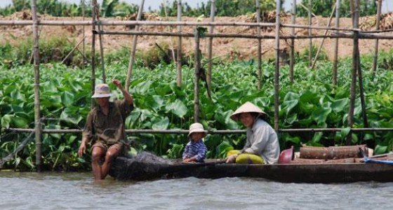 Fisherman on mekong river - Caibe floating market