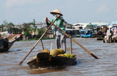 Jackfruit at PhongDien floating market