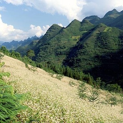 Mountain scenery from Xin Man to Bac ha