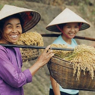 Good harvest season - CaoBang.