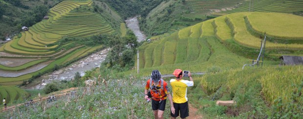 Rice terraces of Mu cang chai