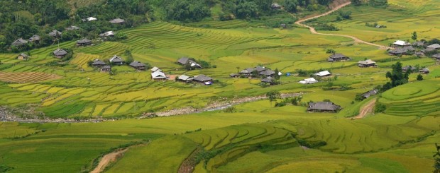 TuLe valley - MuCangChai on our Cycling Vietnam to Laos - Hanoi to Luangprabang