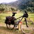 Rocky mountain bike - the warrior of Vietnam adventure tours