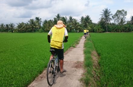 Cycling through rice paddy in TraVinh