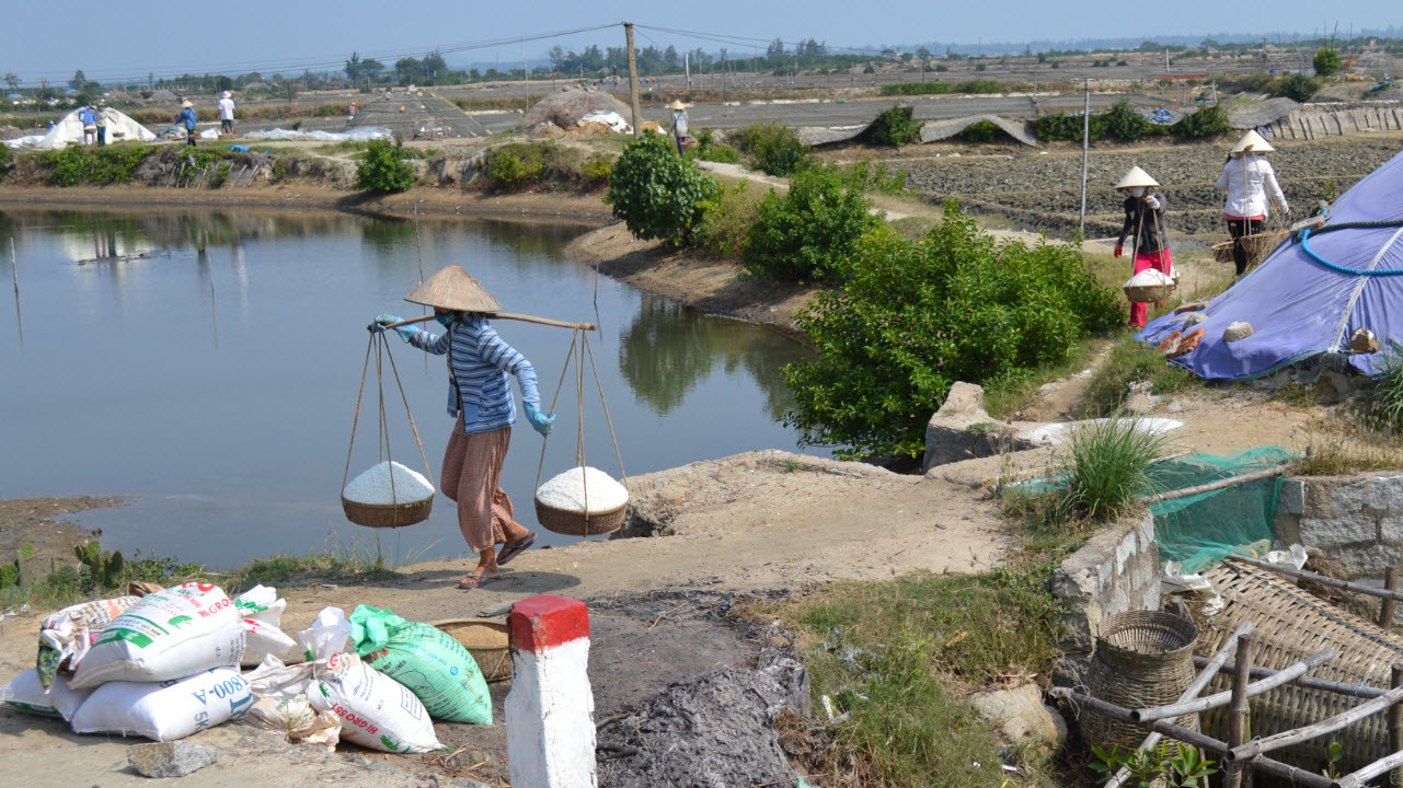 Salt fields - Cat Tien - QuiNhon